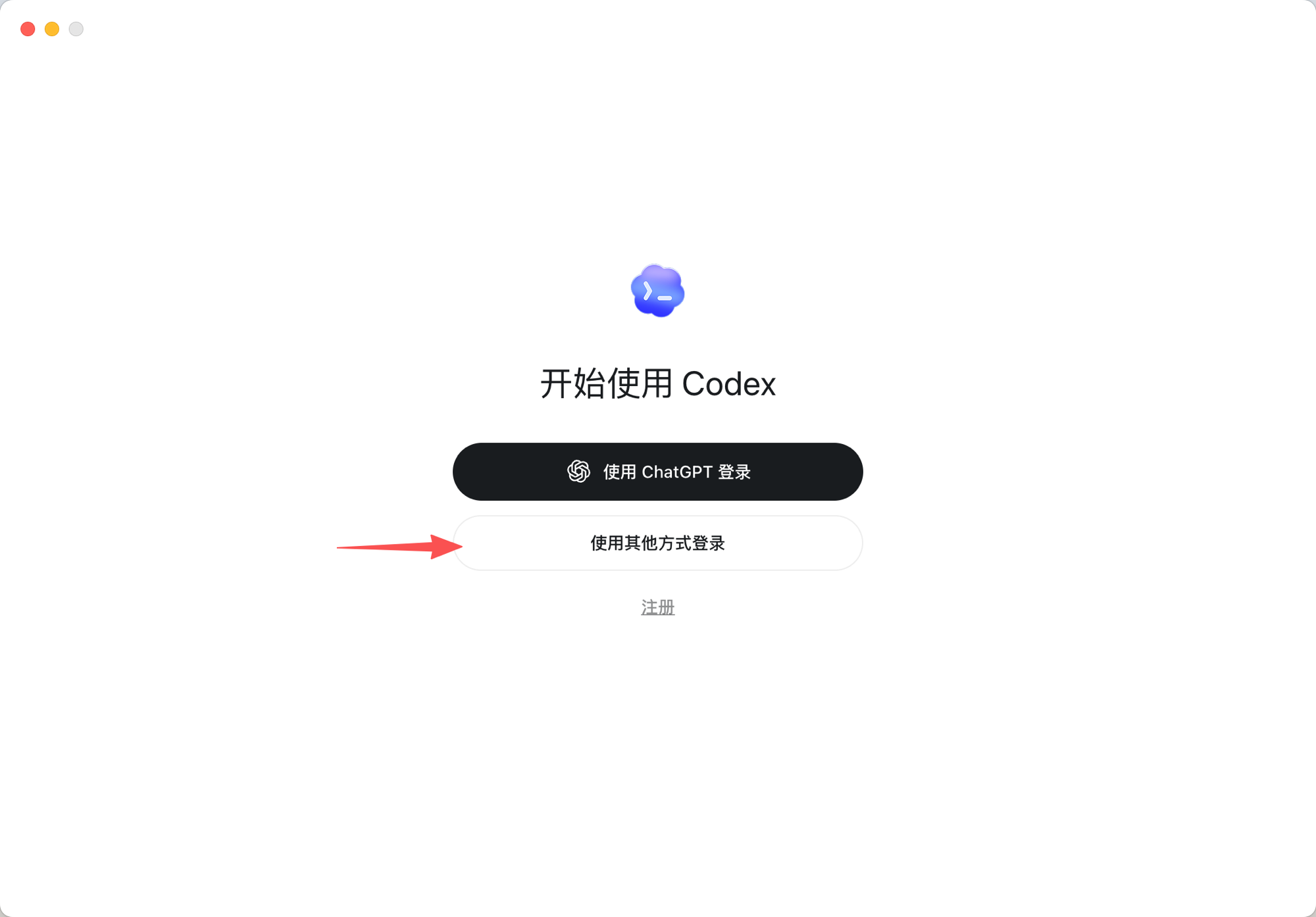 Codex login - choose other method